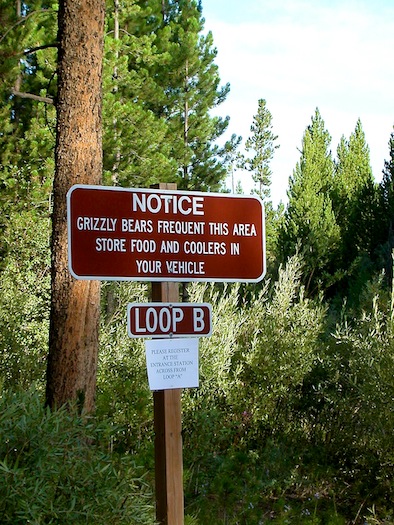 2006 Yellowstone Roadtrip